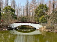 -东平国家森林公园