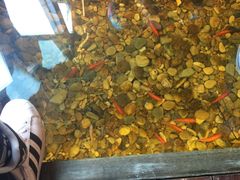 -颐和•海鲜砂锅粥•啫啫煲(奥林匹克广场店)