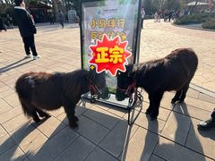 -济南野生动物世界