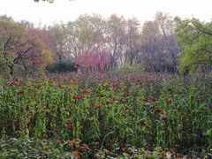 -长春公园(普阳街道)