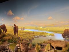 -陕西自然博物馆