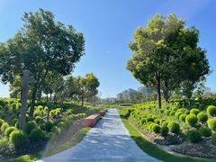 -春花秋色城市公园