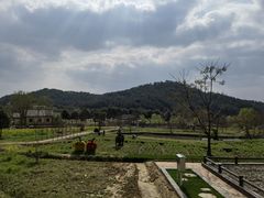 -黄陂区野村谷景区