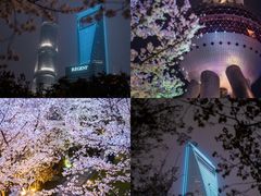 -陆家嘴中心绿地