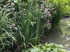 -洛阳市隋唐城遗址植物园