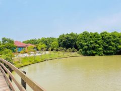 -上海海湾国家森林公园