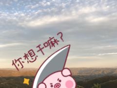 -草原天路(张北县)