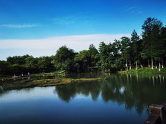 -西溪国家湿地公园