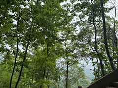 -天台山赤城山景区