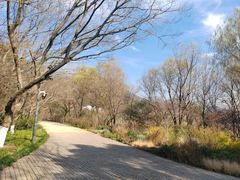 -西湖风景区-江洋畈生态公园