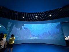 -广东惠东海龟国家级自然保护区