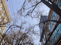 -尤素福东举院饺子馆