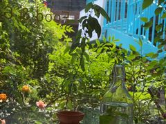 -春树下·树屋花房西餐厅(罍街AS1980店)