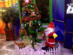 -豪食披萨烤肉自助(保定商场店)