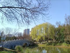 -月湖风景区