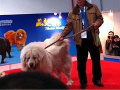 -东浩兰生上海世博展览馆