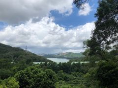 -深圳仙湖植物园-停车场