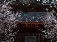 -杭州植物园