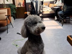-沏点Trattoria意大利餐厅(新街口店)