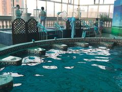 -丰顺宝丰酒店温泉