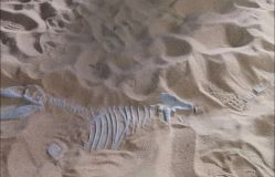 -恐龙探索乐园(磁器口店)