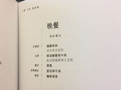 -新加坡航空公司(ION)