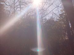 -祁门牯牛降观音堂风景区