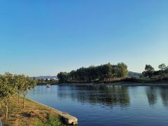 -羊亭河湿地公园