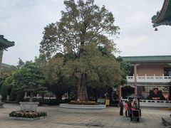 -广东圆玄道观