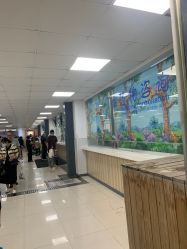 -复旦大学附属儿科医院