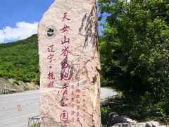 -天女山森林公园