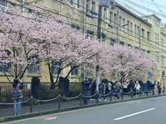 -京都御所