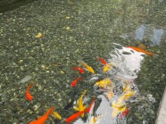 -湖滨客舍·湖北菜