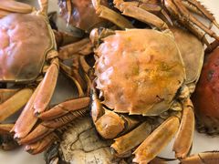 -青岛蓝海大饭店·渔歌舫(李沧店)