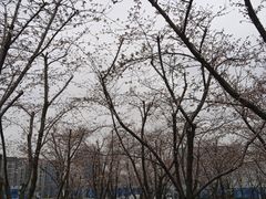 -龙美术馆(西岸馆)