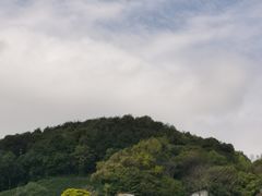 -龙井村