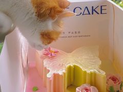 -ZIYUE CAKE线上店