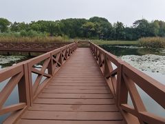 -金银湖国家城市湿地公园