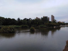 -月亮河公园