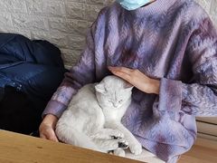 -平行世界·猫咖(首经贸店)