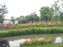 -鹅湖玫瑰文化园