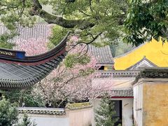 -阿育王寺