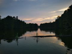 -池杉湖湿地公园