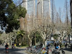 -张亮麻辣烫(政民路店)