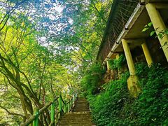 -西安祥峪森林公园