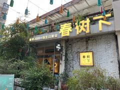 -春树下·树屋花房西餐厅(罍街AS1980店)