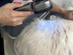 -拜鲁耶动物诊疗中心·宠家动物医院