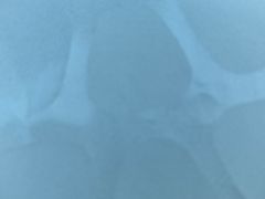 -巢爷老味(东方红店)