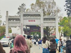 -东湖落雁景区