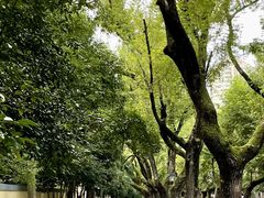 -颐和路民国时期公馆风貌区